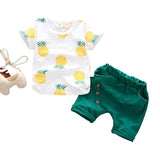 Conjunto Bear